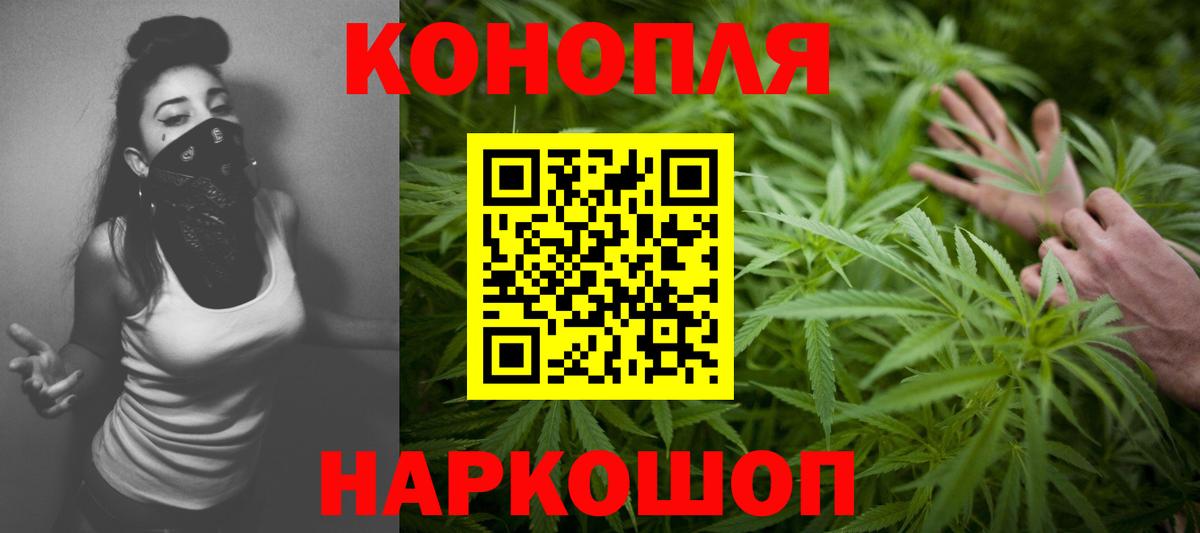 Канабис индика  Бошки Шишки план  Донецк  Шишки марихуана планчик  Вход с VPN 